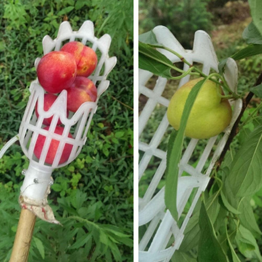 Fruit Picker & Catcher Garden Tool | Bowlift
