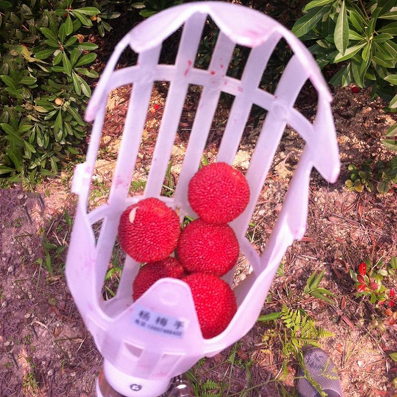 Fruit Picker & Catcher Garden Tool | Bowlift