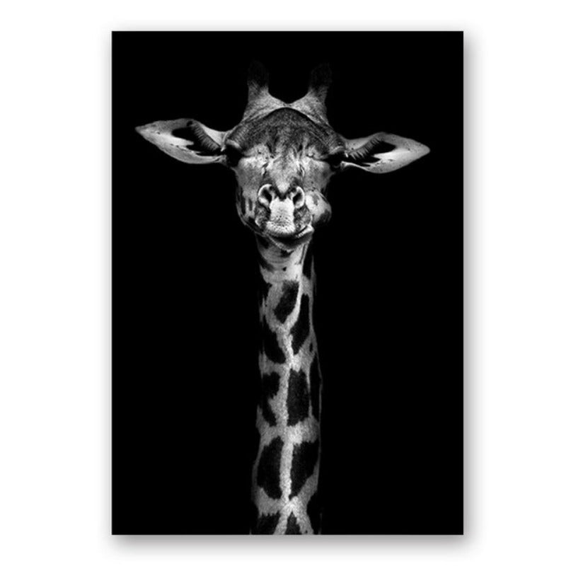 Nature, African Wildlife, Wild Animals, Black and White - Canvas Print