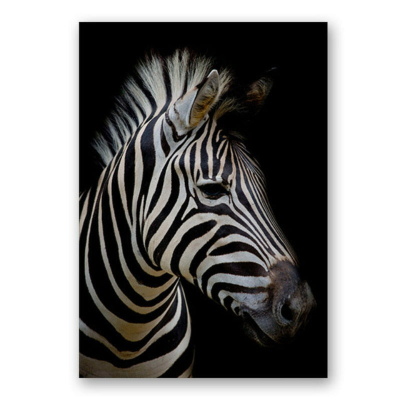 Nature, African Wildlife, Wild Animals, Black and White - Canvas Print
