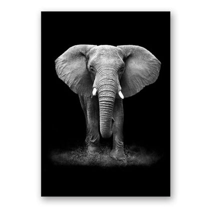 Nature, African Wildlife, Wild Animals, Black and White - Canvas Print
