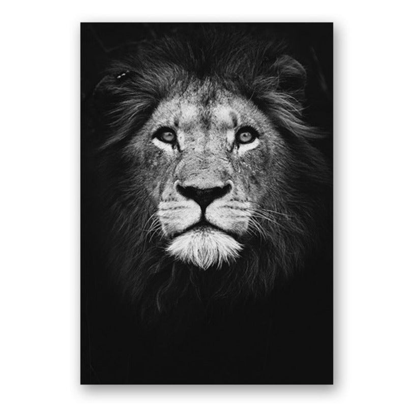 Nature, African Wildlife, Wild Animals, Black and White - Canvas Print