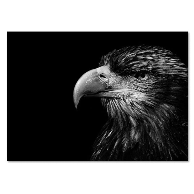 Nature, African Wildlife, Wild Animals, Black and White - Canvas Print