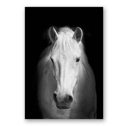 Nature, African Wildlife, Wild Animals, Black and White - Canvas Print