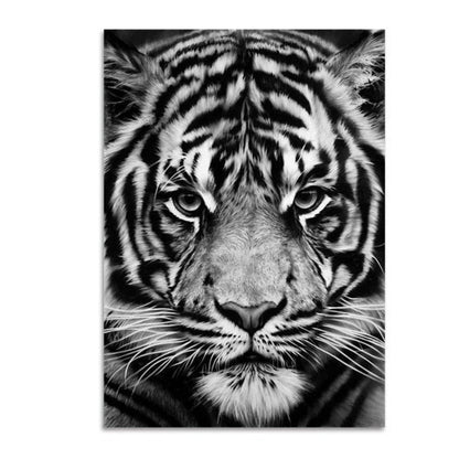 Nature, African Wildlife, Wild Animals, Black and White - Canvas Print