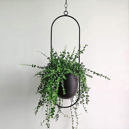 Skanto | FloraFrame – Elegant Metal Plant Holder for Wall or Ceiling