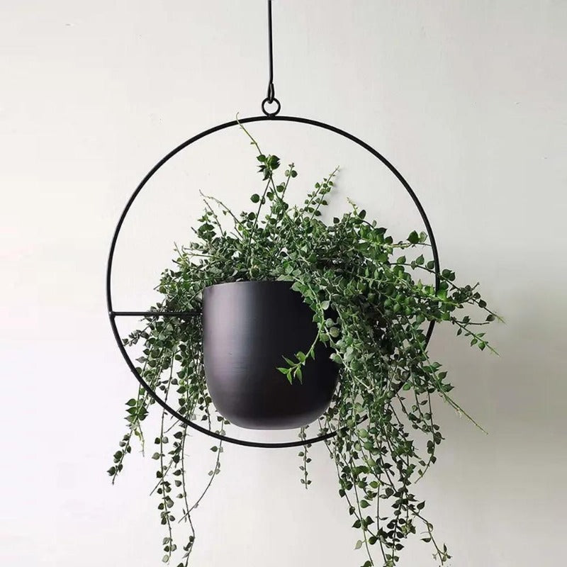 Skanto | The Lyra Hanging Planter Collection