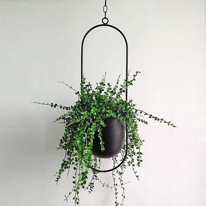 Skanto | The Lyra Hanging Planter Collection