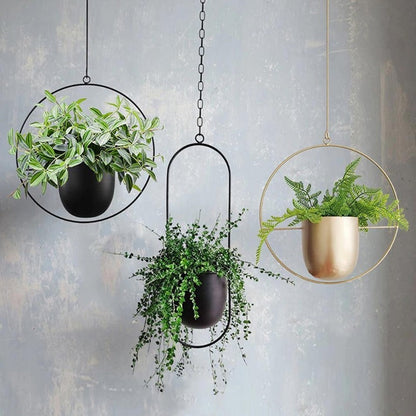 Skanto | The Lyra Hanging Planter Collection