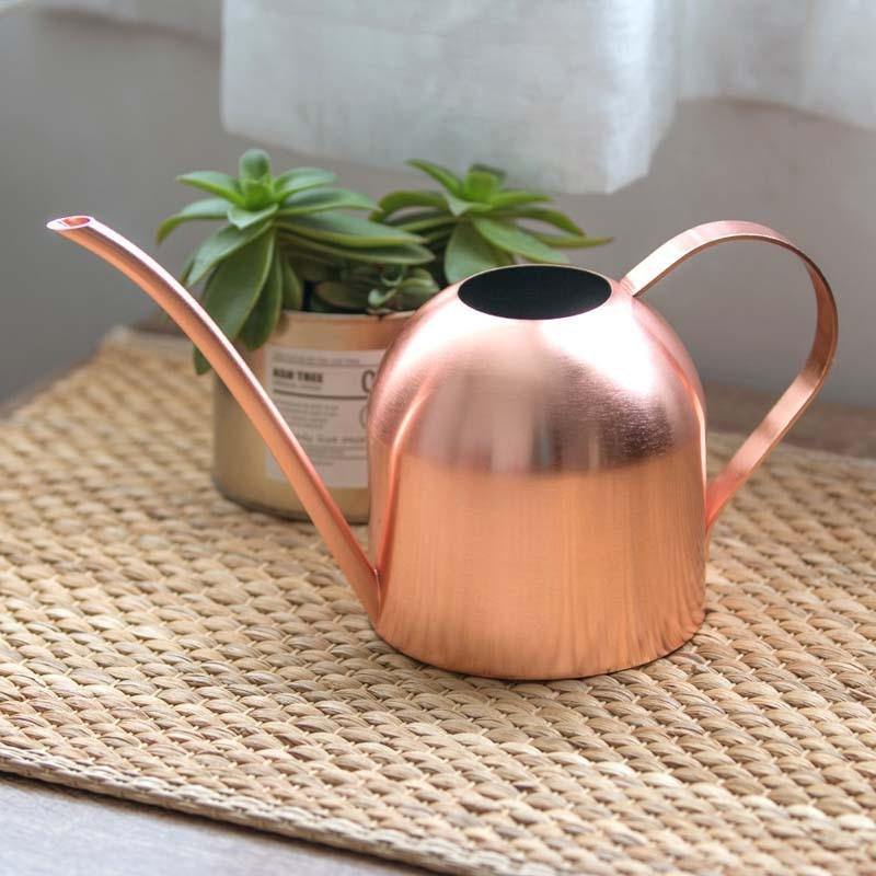 Stainless steel watering can with flexible neck | Modern design | Perfect watering | Does not rust