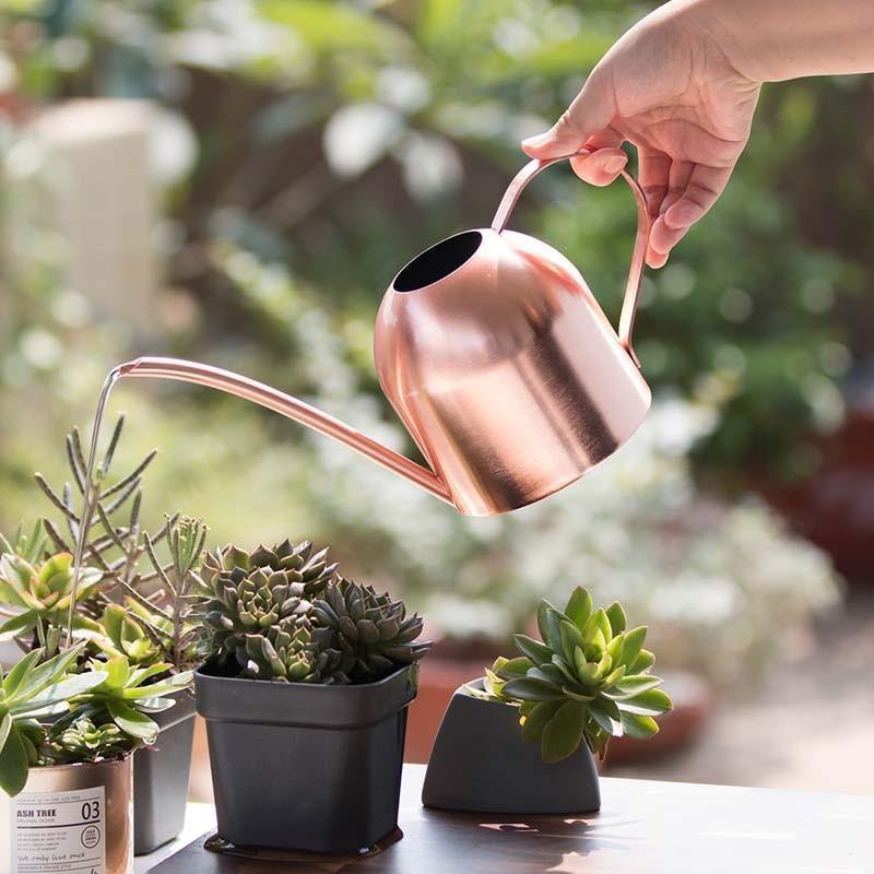 BowLift | Stainless Steel Watering Can with Flexible Neck | Modern Design | Perfect Watering | Rustproof