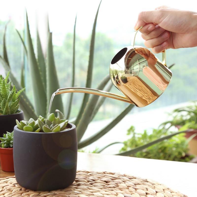 BowLift | Stainless Steel Watering Can with Flexible Neck | Modern Design | Perfect Watering | Rustproof