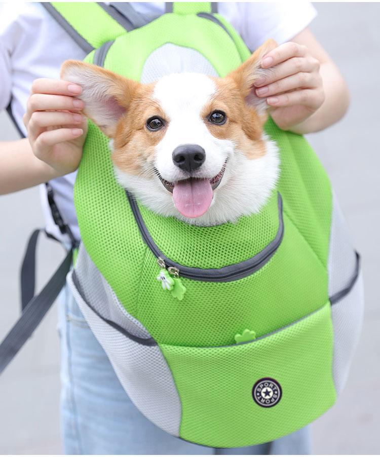 Skanto | Pet Carrier Backpack | Comfortable, Secure & Perfect for Outdoor Adventures with Your Dog