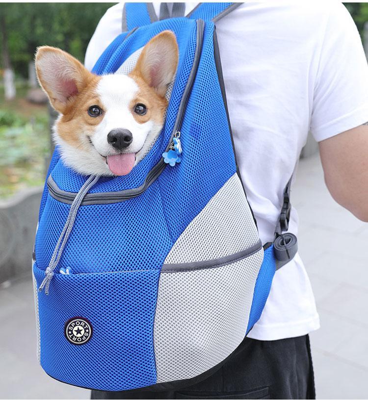 Skanto | Pet Carrier Backpack | Comfortable, Secure & Perfect for Outdoor Adventures with Your Dog