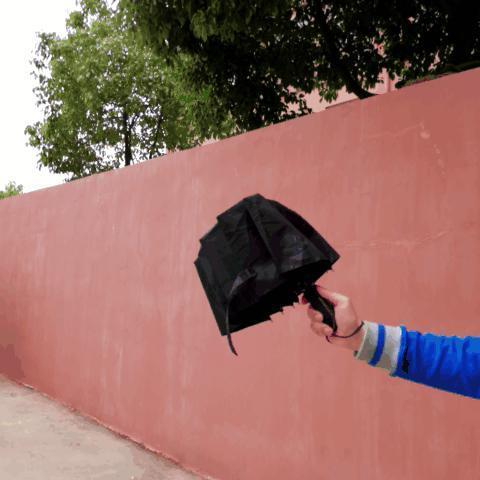 BowLift | Luxury Automatic Open & close Umbrella Folding Wind water Resistant