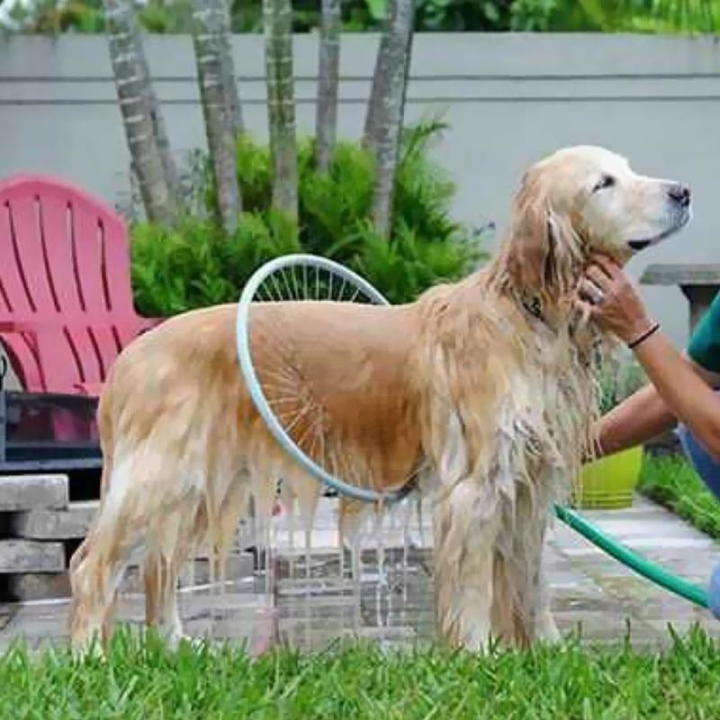 BowLift | 360 Degree Dog Shower Tool