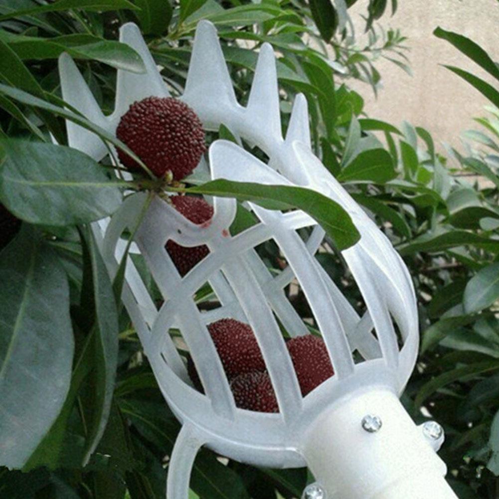 Fruit Picker & Catcher Garden Tool | Bowlift