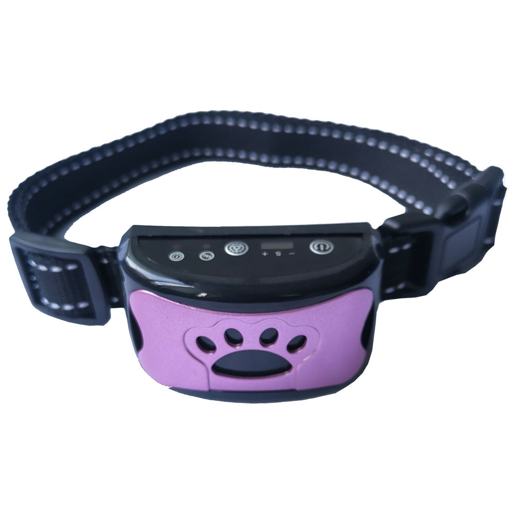 Skanto | Harmony and comfort for four-legged friends