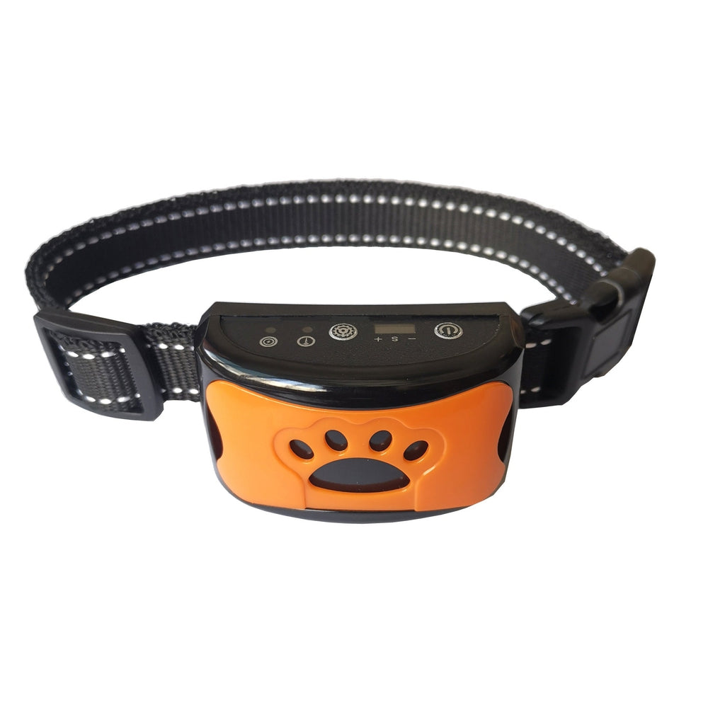 Skanto | Harmony and comfort for four-legged friends