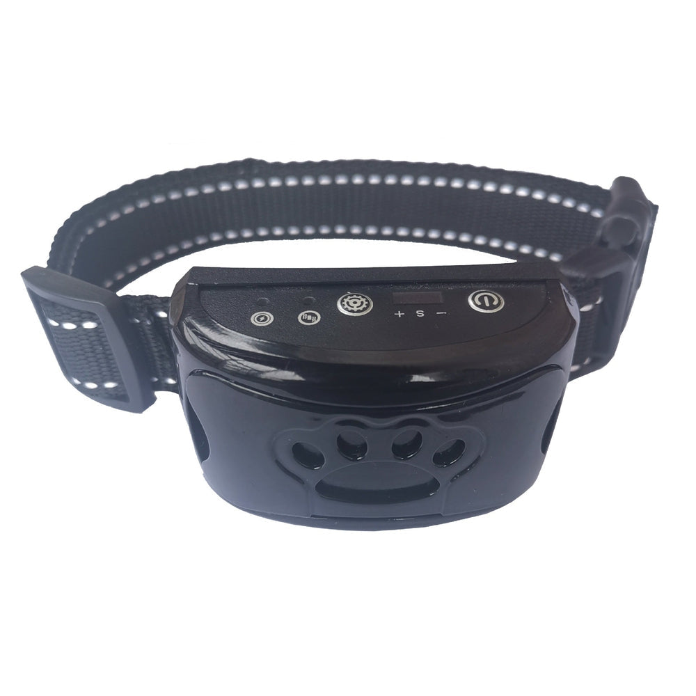 Skanto | Harmony and comfort for four-legged friends