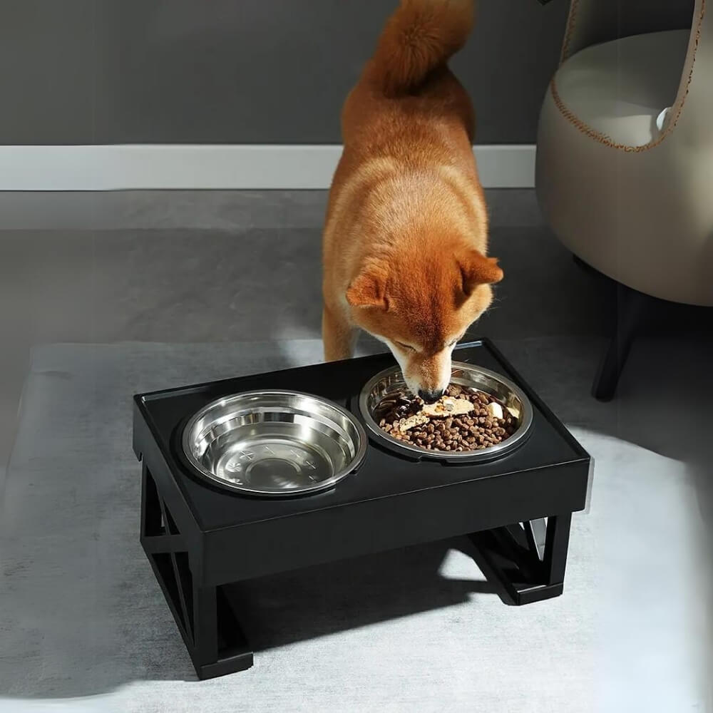 PupLift Elevated Dog Bowl – Ergonomic & Slow Feeding for Healthy Meals | Bowlift