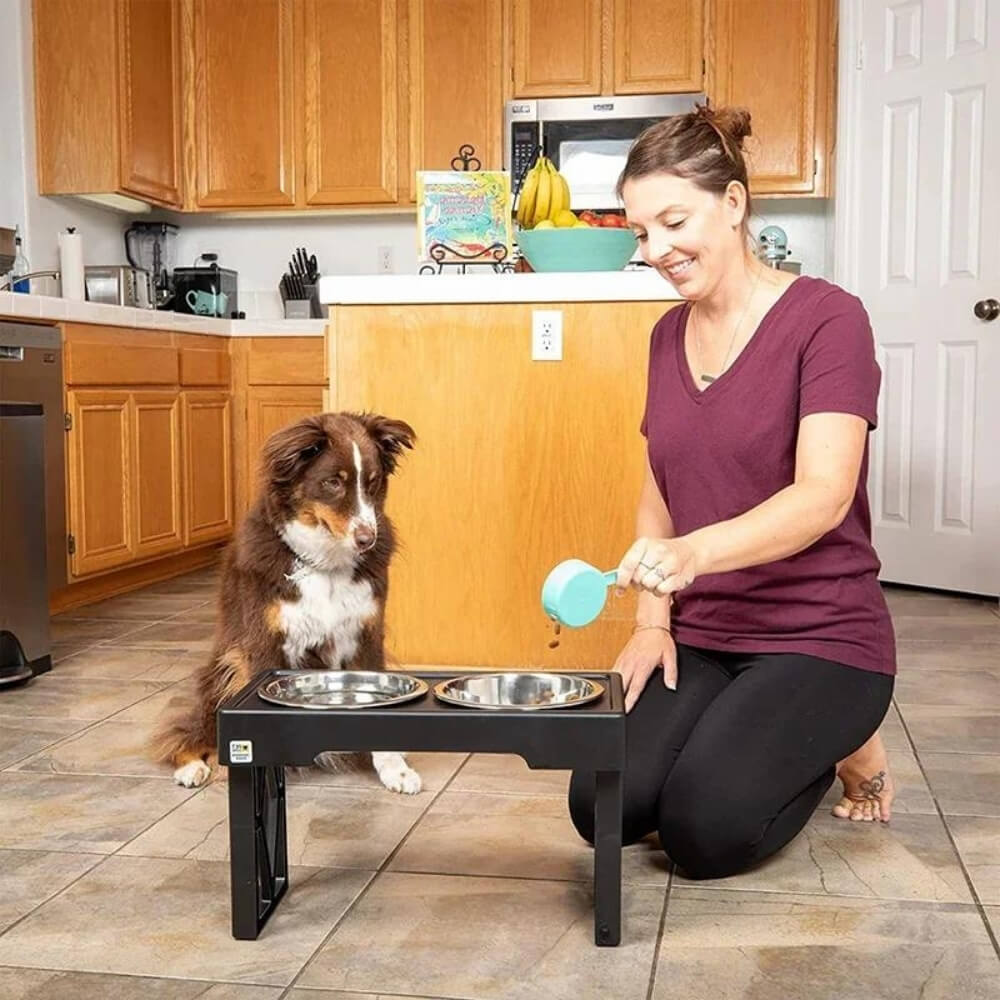 PupLift Elevated Dog Bowl – Ergonomic & Slow Feeding for Healthy Meals | Karnz