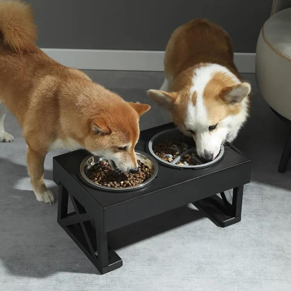 BowLift | PupLift Elevated Dog Bowl – Ergonomic & Slow Feeding for Healthy Meals