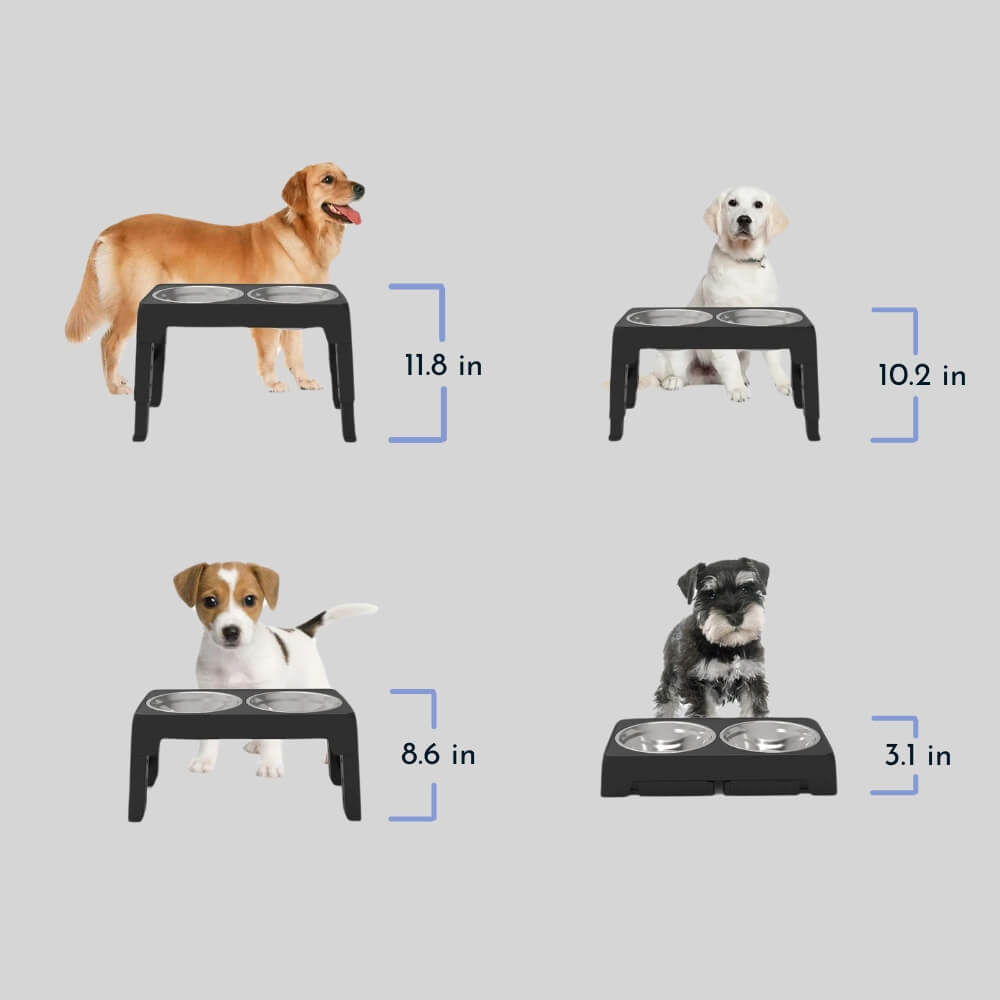 PupLift Elevated Dog Bowl – Ergonomic & Slow Feeding for Healthy Meals | Bowlift