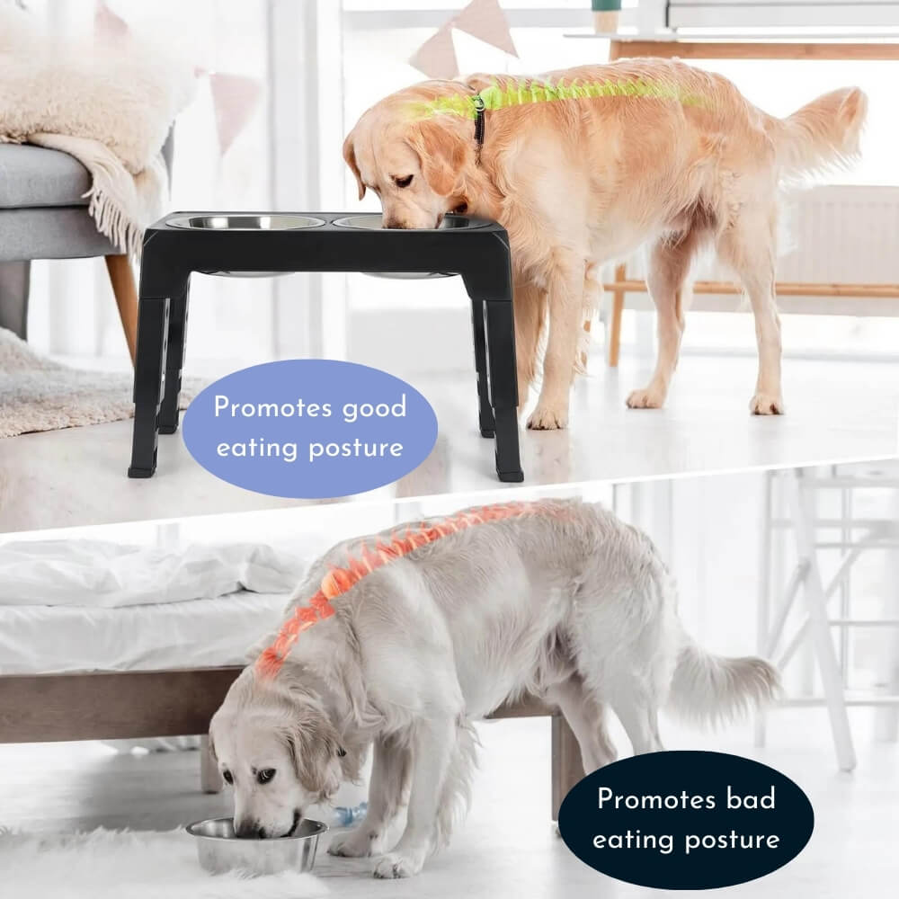 BowLift | PupLift Elevated Dog Bowl – Ergonomic & Slow Feeding for Healthy Meals
