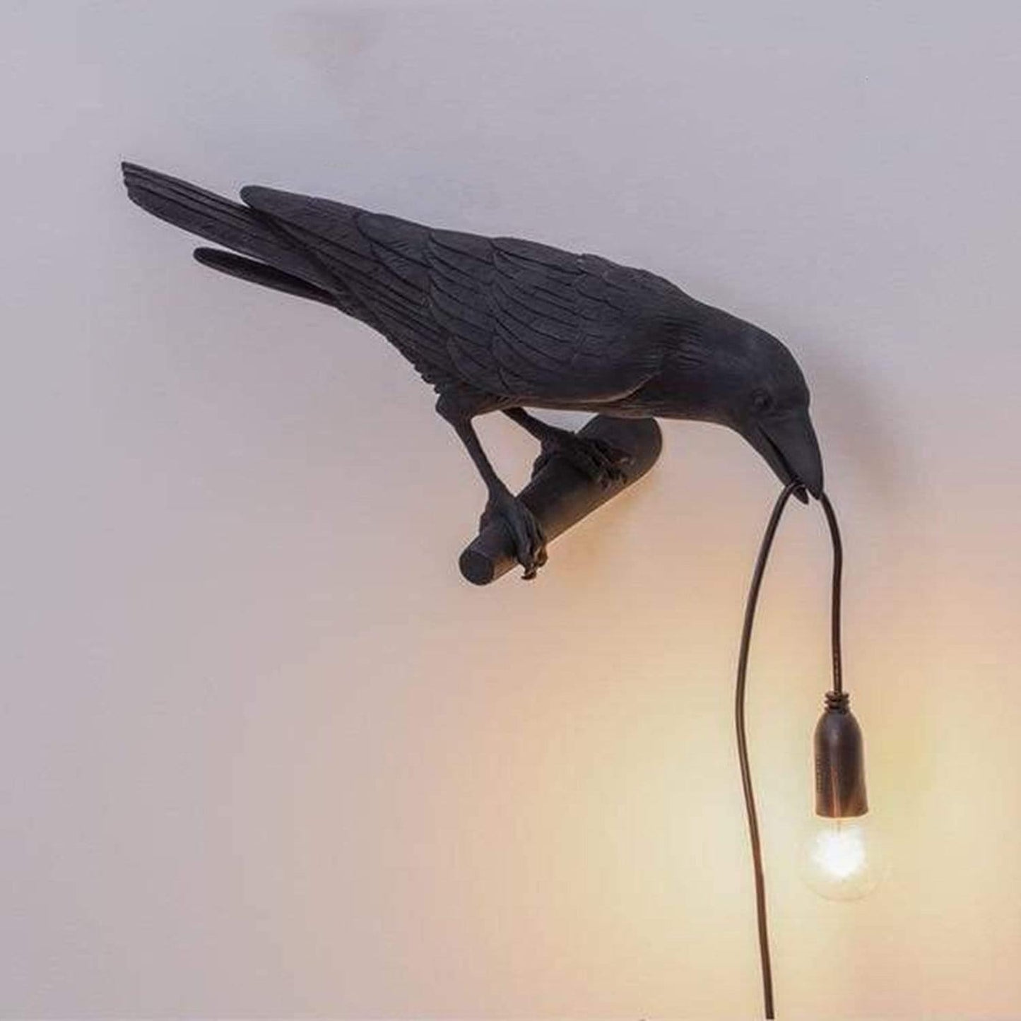 The Corvid Lamp