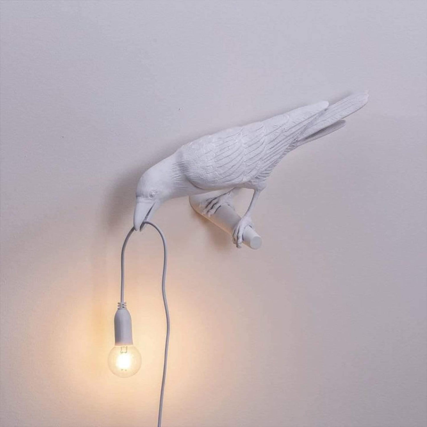 The Corvid Lamp