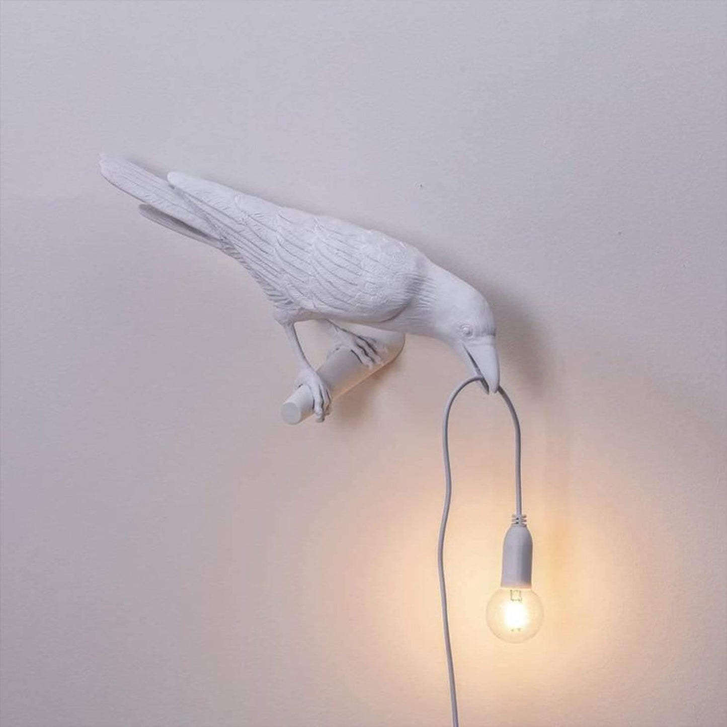 The Corvid Lamp
