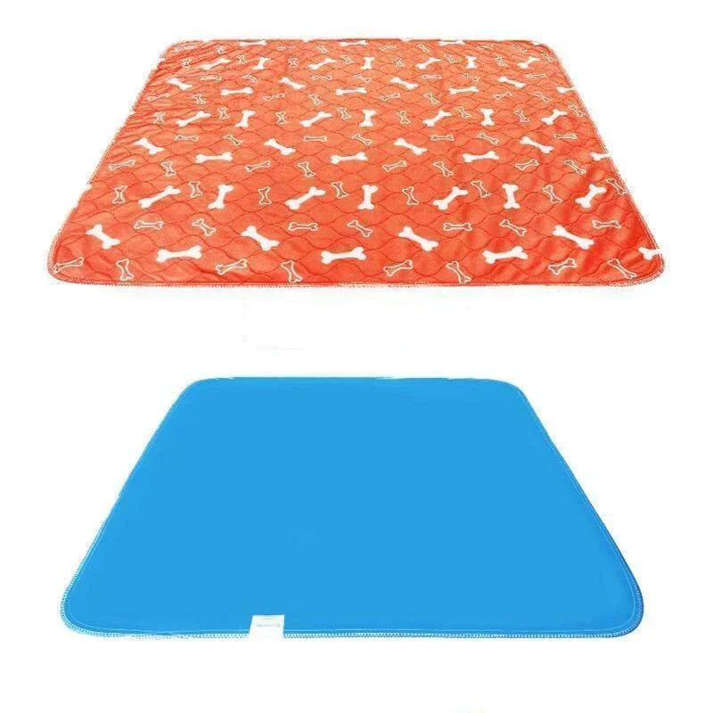 Reusable Plasma for Dogs - EcoPad Bowlift