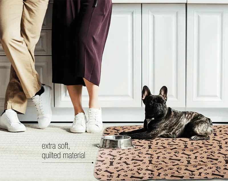 Reusable Plasma for Dogs - EcoPad Bowlift