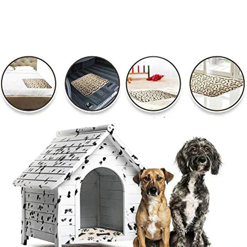 Reusable Plasma for Dogs - EcoPad Bowlift