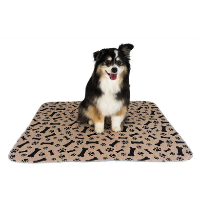 Reusable Plasma for Dogs - EcoPad Bowlift