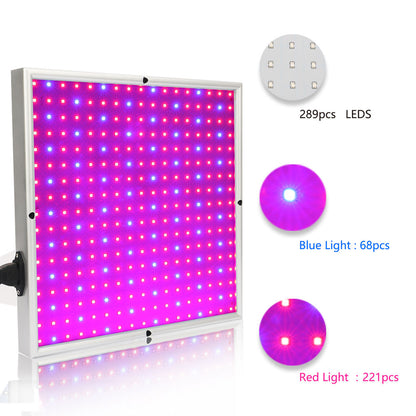 Skanto | Grow Light Lamp
