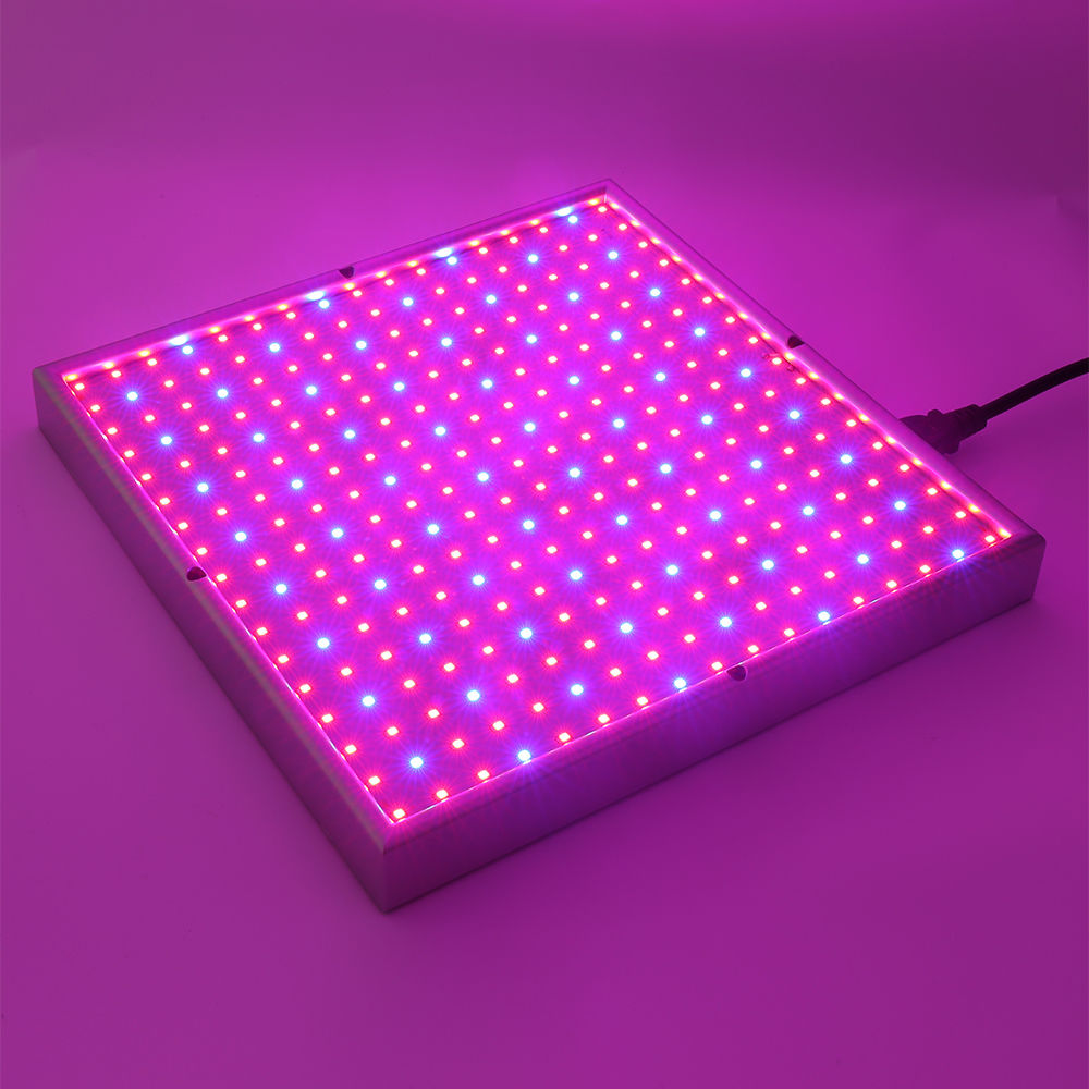 Skanto | Grow Light Lamp