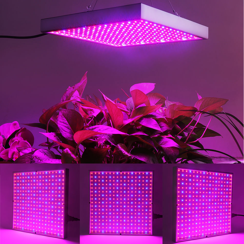 Skanto | Grow Light Lamp