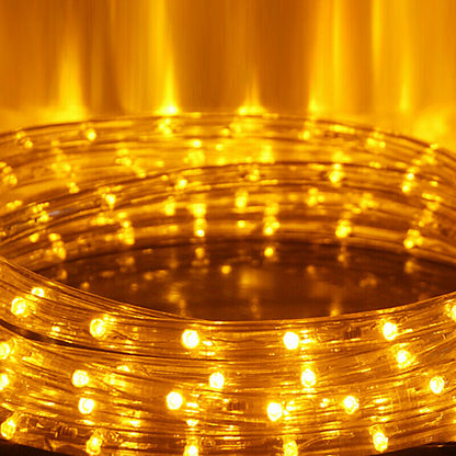 LED Rope Light IP44 with Timer 10m-50m | Karnz