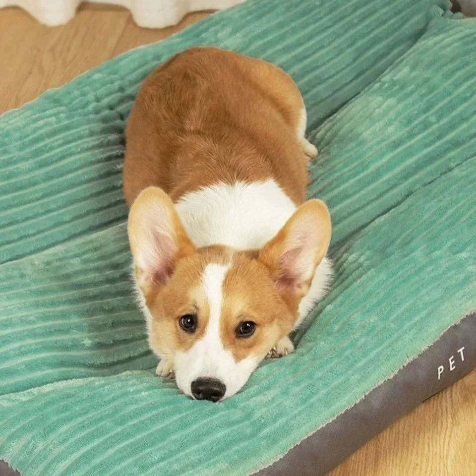 BowLift | DreamRest Orthopedic Dog Bed – Fluffy, Supportive & Washable Comfort
