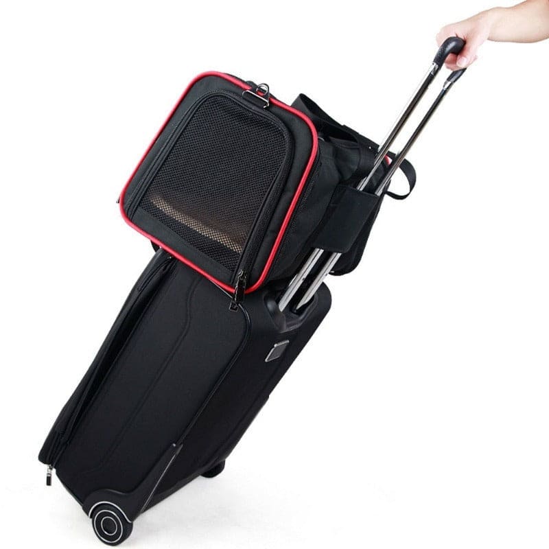Skanto | Adjustable Cat Carrier Siblekat