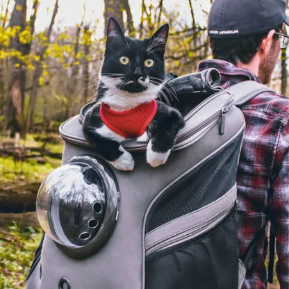 Skanto | Foldable Cat Travel Bag with Panorama Window and Comfort Design