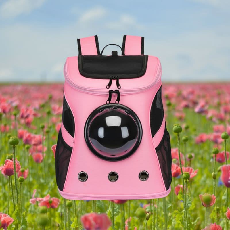 Skanto | Foldable Cat Travel Bag with Panorama Window and Comfort Design