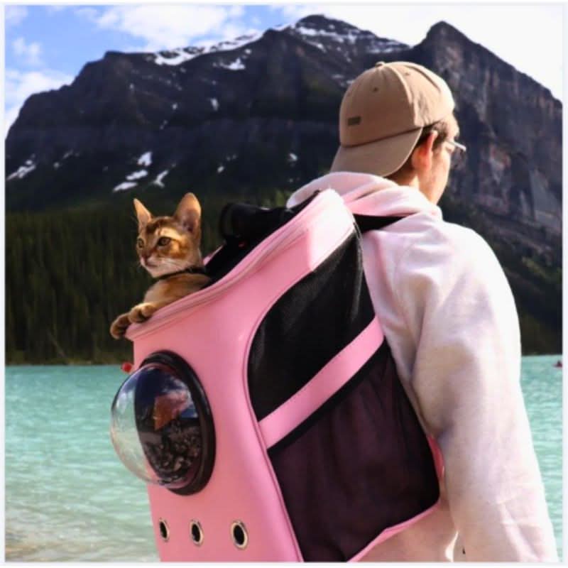 Skanto | Foldable Cat Travel Bag with Panorama Window and Comfort Design