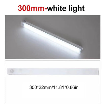 Skanto | LED Motion Sensor Cabinet Light (2-Pack)