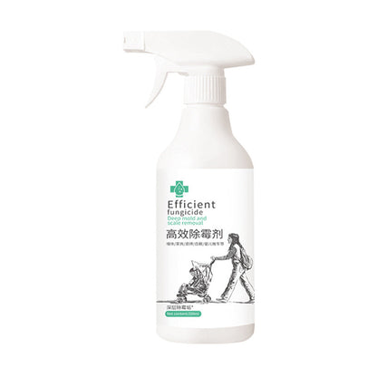 Skanto | High-Efficiency Mold Remover