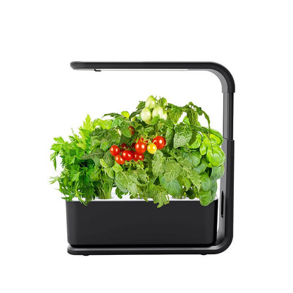 Skanto | Slim Hydroponic Plant System for Indoors - GreenBloom Hydro