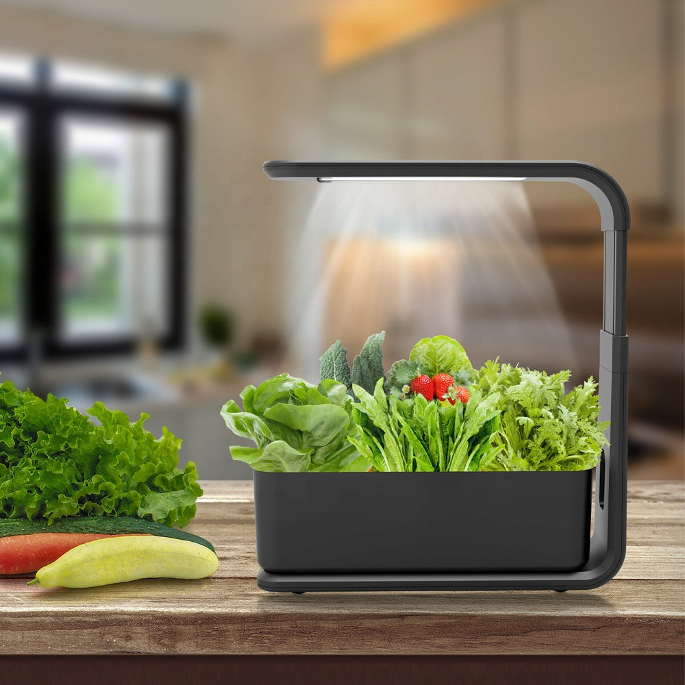 Skanto | Slim Hydroponic Plant System for Indoors - GreenBloom Hydro