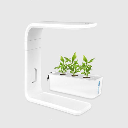 Skanto | Slim Hydroponic Plant System for Indoors - GreenBloom Hydro